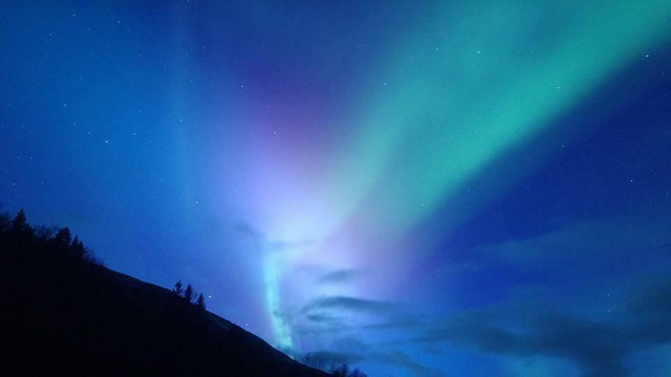 Ballangen Camping Narvik Kültér fotó
