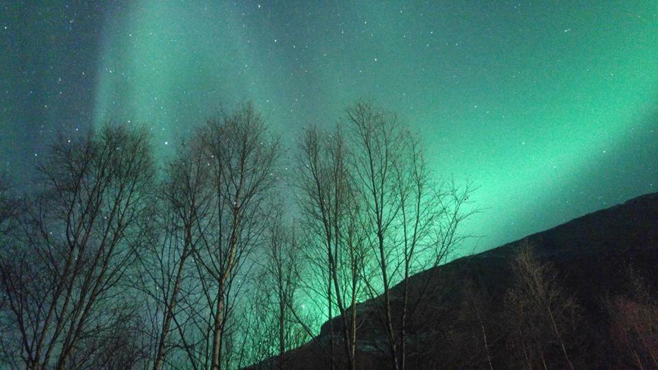 Ballangen Camping Narvik Kültér fotó